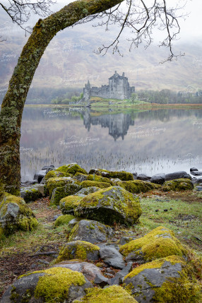 To buy a print or any of the below please click on the images